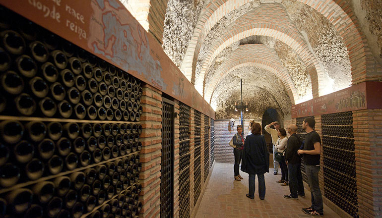 Visitas bodegas ruta del vino rueda