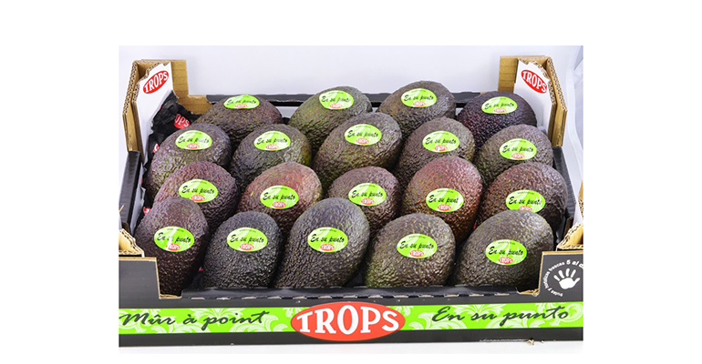Aguacates trops